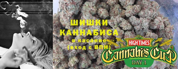 стаф Белокуриха