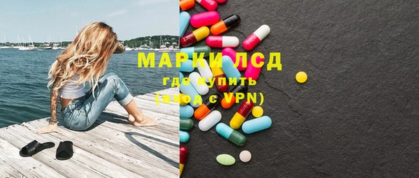 стаф Белокуриха