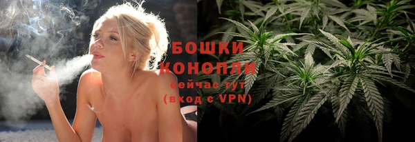 стаф Белокуриха