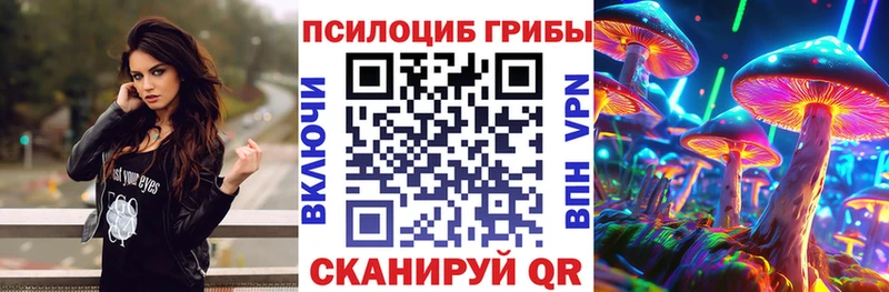 Галлюциногенные грибы Psilocybe  KRAKEN как войти  Курчалой 
